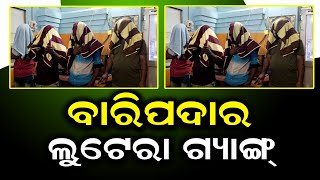 ବାରିପଦାର ଡକାୟତି ଗ୍ୟାଙ୍ଗ ଧରା ପଡିଲେ | Odia News Live Updates | Latest Odia News | Samayalive