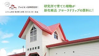 研究所で育てた植物が新化粧品 フローラドリップの原料に！【こちらアルビオン白神研究所！】