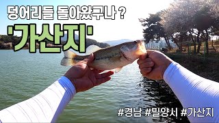 배스낚시 l 에너지 넘치는 봄배스 사냥 l 울브 🐺