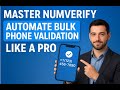 How to Validate Bulk Phone numbers using Numverify API - Complete Guide