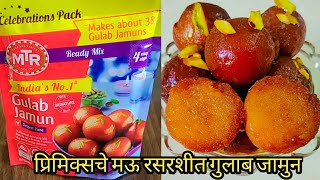 प्रीमिक्सचे मुलायम रसरशीत गुलाब जामुन टिप्ससह| Gulab Jamun Recipe In Marathi| MTR Gulab Jamun Recipe