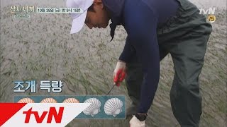 3bobfish [예고] 세끼가족은 갯벌마트에서 조개줍줍ing! 161028 EP.3