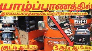 யாழ்ப்பாணத்தில் குட்டி ஆட்டோவா 3அடி ஆட்டோவா mc Jaffna view