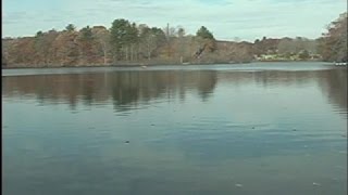 Appreciating the Charles River