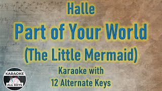 Halle - Part of Your World Karaoke Instrumental The Little Mermaid Lower Higher Male Original Key