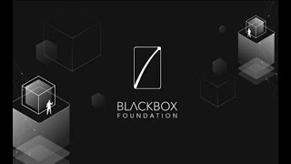 Blackbox-новое решение проблем экономики