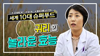 세계 10대 슈퍼푸드 귀리의 놀라운 효능!