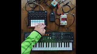 Circuit tracks + Arturia Microfreak + Korg minikp2 @DemedashEffects