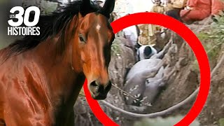 Il y a une femme sous ce cheval 🐴 - Les histoires insolites