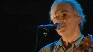 Robyn Hitchcock - Not Dark Yet