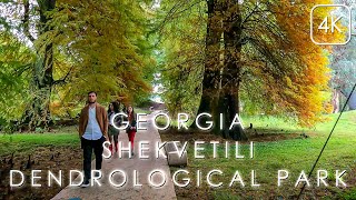 Shekvetili Dendrological Park. 4K Georgia walking tour