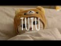 Tutu (cute Remix) - Alma Zarza X Dj Mamad - Dangling X Dusk Music (video Lyrics)