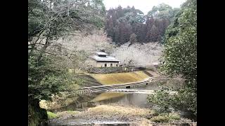 朝の　吾平山陵を　歩いてみた