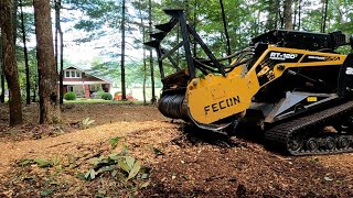 Forestry Mulching Mountain Laurel with Fecon