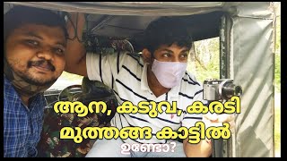 മുത്തങ്ങ കാട് അരിച്ചുപെറുക്കി | EP :7 | Muthanga sanctuary | Town Square Bathery | sand routes