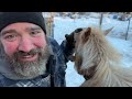 3 things we wish we knew before homesteading in alaska