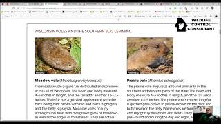 The Label Is The Law vs. Voles Labeling