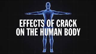 Science Behind Addiction: Crack