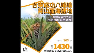 即時好案-【售價：1430萬】台東成功八嗡嗡背山面海建地