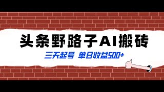 第二节、前期准备_全网首发头条野路子AI搬砖玩法，纪实类超级蓝海项目，三天起号单日收益500+