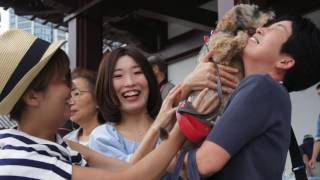 動物慰霊祭大法要【2016年】ペット霊園 川崎 横浜 東京の平和会ペットメモリアル