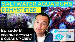 Saltwater Aquariums Demystified Ep. 6: Corals and Cleanup Crew