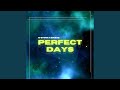 Perfect Days (Extended Mix)