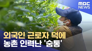 외국인 근로자 덕에 농촌 인력난 '숨통' (2022.06.13/뉴스투데이/MBC)