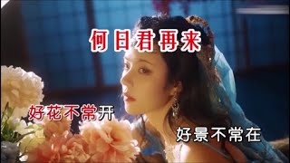 邓丽君 《何日君再来（DJ欧东版）》 KTV 导唱字幕 （备有伴奏视频）