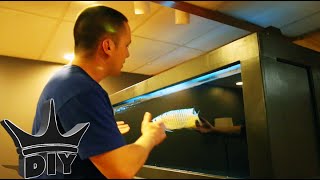 The secret to clear aquarium water!