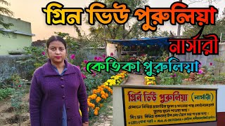 GREEN VIEW NURSERY PURULIA || গ্রিন ভিউ পুরুলিয়া নার্সারী || New nursery in Purulia || 8617430416 |