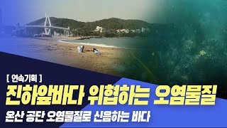 [연속기획] 신음하는 온산 앞바다..진하 앞바다도 위협