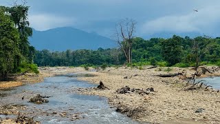 നെടുംകയം റൈൻ ഫോറെസ്റ്റിലൂടെ ഒരു യാത്ര പോവാം ..|nedumkayam rain forest|