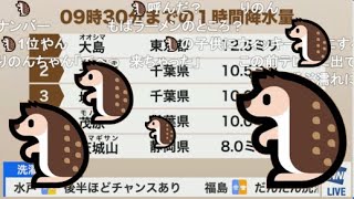 【高山奈々・大島璃音】🍚🦔っ「大島の天気の話しになるといっぱい出てくる🦔(ニコ生コメ有り)」