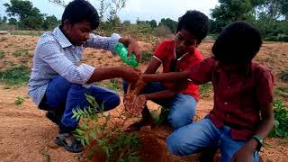 చెట్లను నాటుదాం ప్రకృతిని కాపాడుదాం