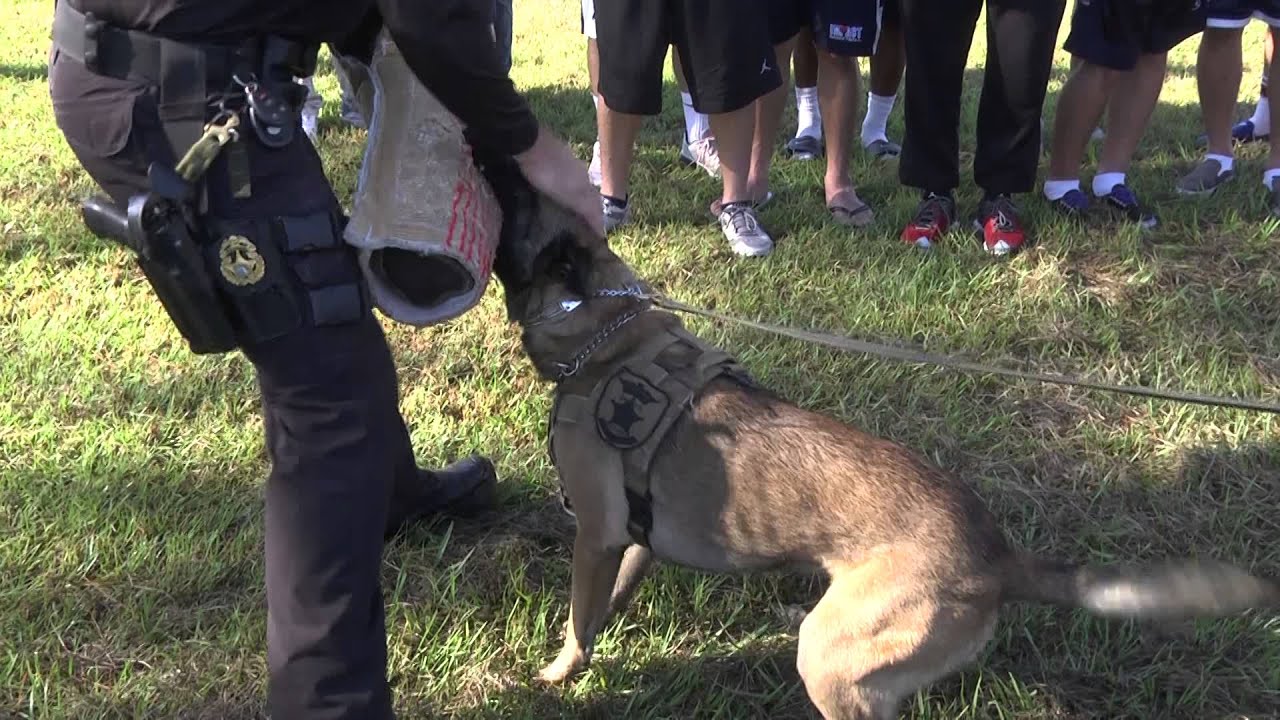 K-9 Demonstration - YouTube