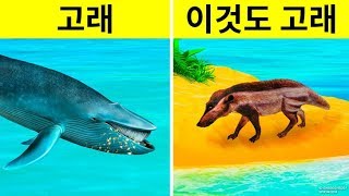 어떻게 고래는 언제나 가장 큰 동물일 수 있을까요?