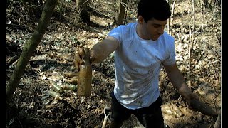 Digging for Antique Soda Bottles in Alliceville Alabama