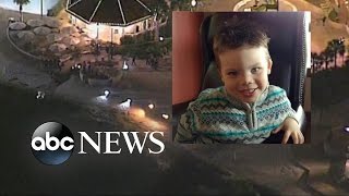 Boy's Body Recovered after Disney Gator Attack