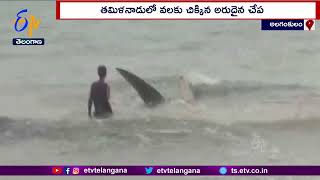 Tamilnadu Fisher Man Rescued a Rare Big fish | వలకు చిక్కిన అరుదైన భారీ చేపను కాపాడిన మత్స్యకారులు