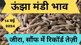 जीरा और सौंफ में उछाल | jeera wholesale market | jeera growing season| jeera price in unjha