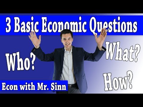 What are the 3 primary economic questions?