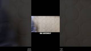 【全麥麵包 吃了更胖】