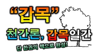 갑목 천간론, 갑목일간 ,갑목일주(9일차)