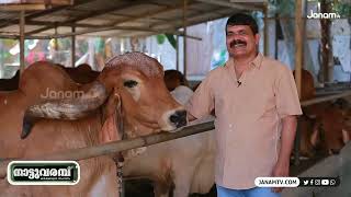 Intimate A2 Milk Farm program in Nattuvarambu part-1. Farm visit & Home delivery TRV call:8594094079