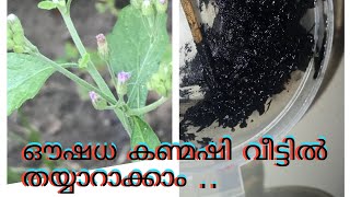 നാടൻ കണ്മഷി വീട്ടിലുണ്ടാക്കാം / simple kanmashi making at home #kanmashi