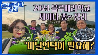 2024년 블루베리 학교 세미나 총 정리=요약본 영상 입니다.