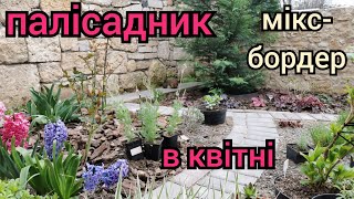 Палісадник міксбордер в квітні 🌷🌷🌷свіжість та позитив весни💛💙