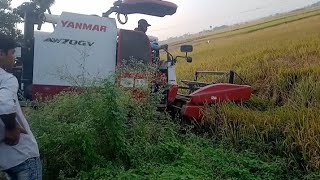 yanmar 70gv gam multicrop harvester full video