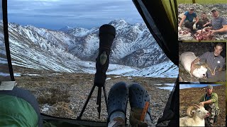 Alaska Dall Sheep Hunts ||8 DIY HUNTS||